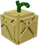 Crown Melon