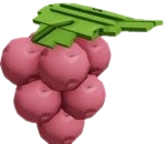 Lingonberry