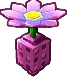 Taro Flower